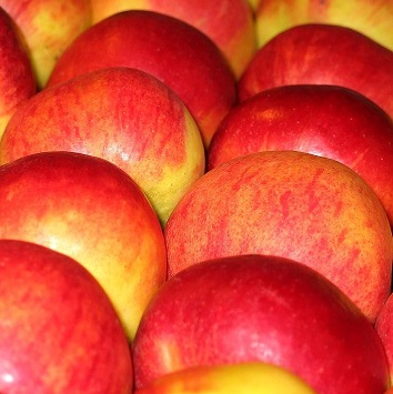 Apple Fuji1