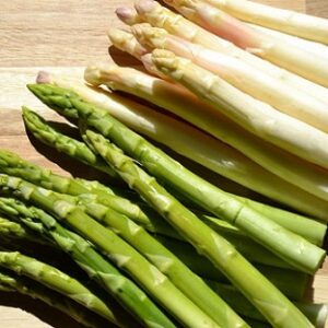 Asparagus 'Mary Washington' Seed