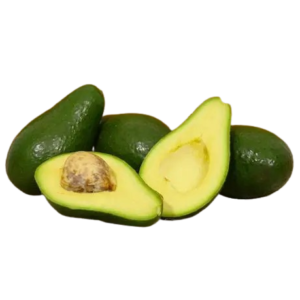 Avocado 'Shepard'