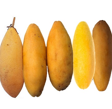 Bannana Passionfruit1