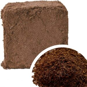Coco Peat