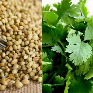 Coriander, Cilantro Seed