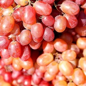 Grape ‘Crimson seedless’