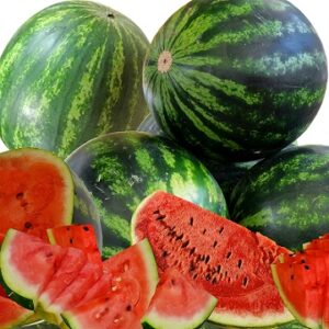 Watermelon 'Crimson sweet' Seed