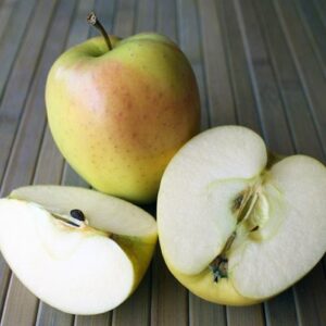 Apple 'Dorsett Golden'