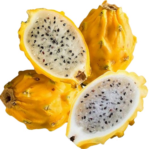 Hylocereus megalanthus Yellow dragon fruit