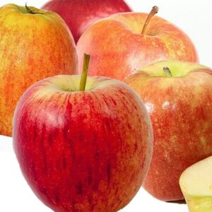 Apple ‘Gala’