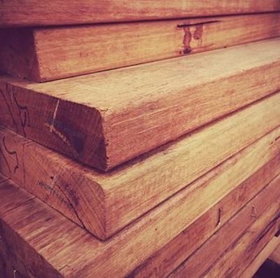 Indian mahogany