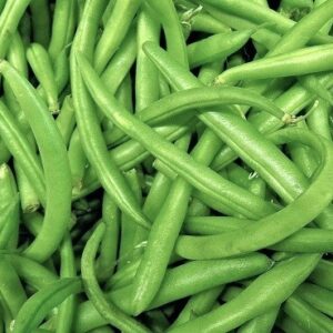 Bean Pole 'Kentucky Wonder' Seed