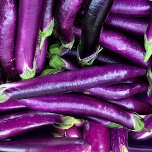 Aubergine, Eggplant 'Malaysian Dark Red' Seed