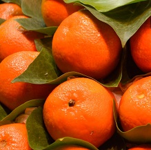 Oronules Clementine