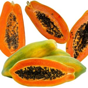 Papaya Dwarf 'Tainung 2'