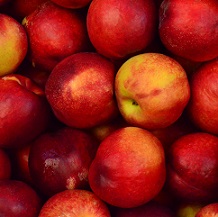 Nectarine 'Mayglo' - Image 2