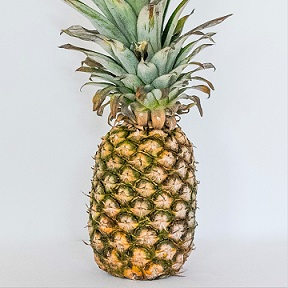Pineapple ‘Smooth Cayenne’