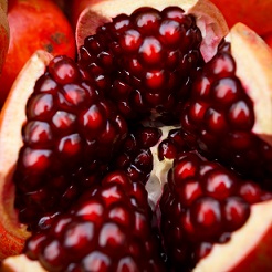 Pomegranate ‘Wonderful’