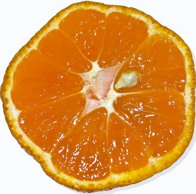 Satsuma Mandarin Big 4