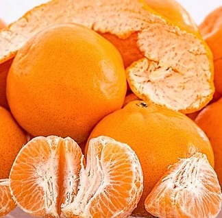 Satsuma Mandarin Big 6