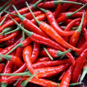 Pepper 'Cayenne' Seed