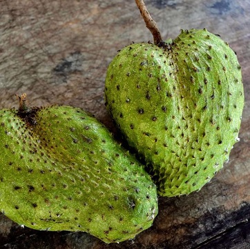Soursop1