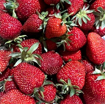 Strawberry1
