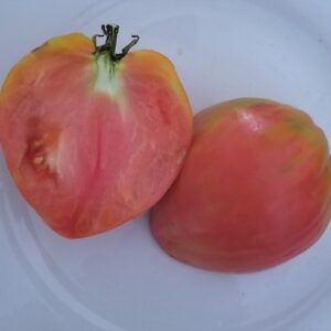 Tomato 'Pink Oxheart' Seed