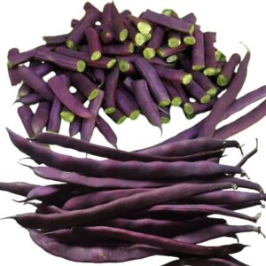 Purple podded pole beans