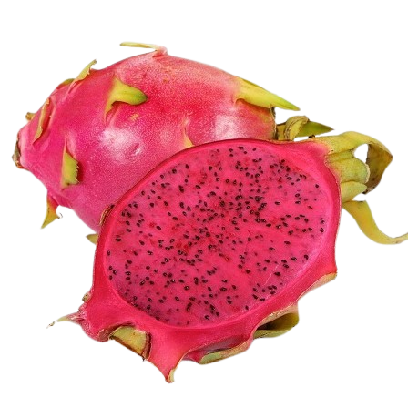 Hylocereus costaricensis Red dragon fruit