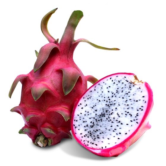 Hylocereus undatus white dragon fruit
