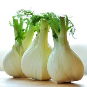 Fennel 'Florence' Seed