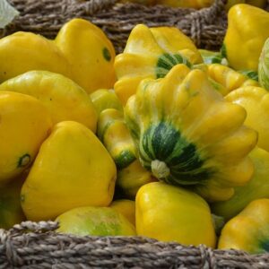 Squash Yellow Bush Scallop Seed