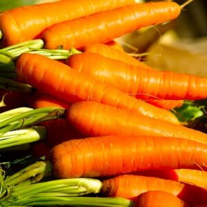Carrot 'Scarlet Nantes' Seed